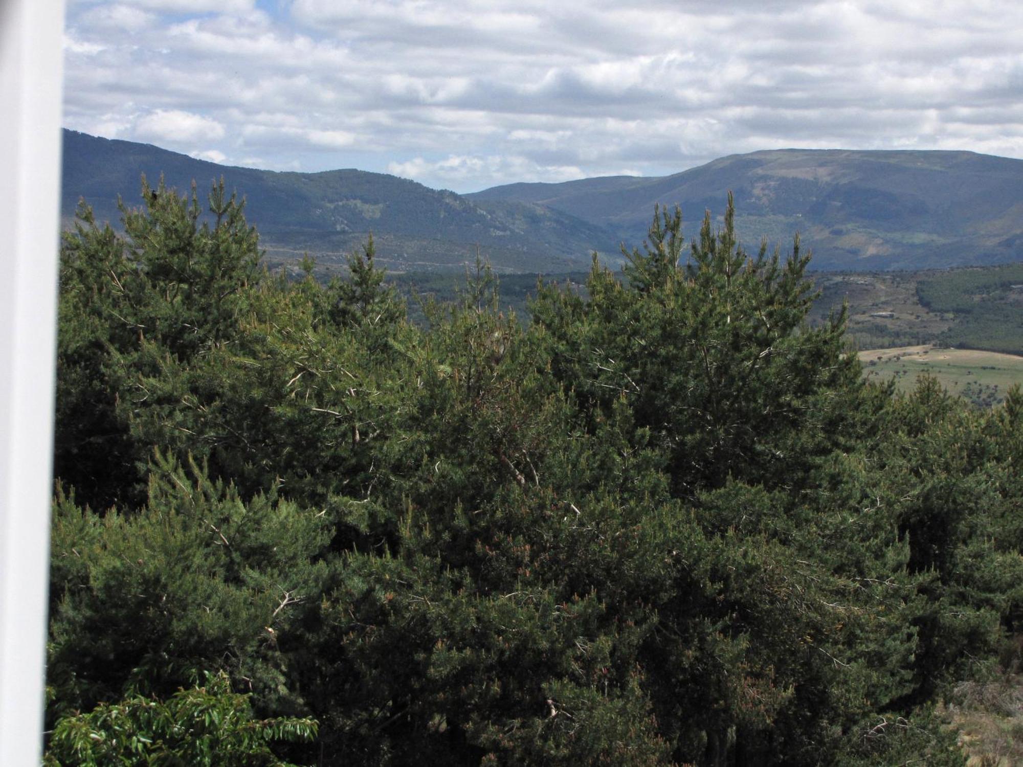 El Mirador De Tortoles Villa Dış mekan fotoğraf